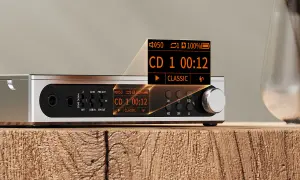 Delta Media Player: Darmowy? Poznaj fakty, ukryte ryzyka i koszty