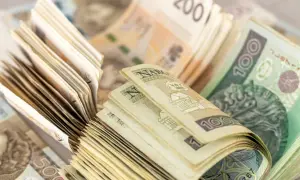 Stosy polskich banknotów o różnych nominałach, w tym 100 zł i 200 zł.