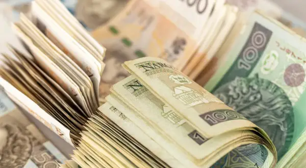 Stosy polskich banknotów o różnych nominałach, w tym 100 zł i 200 zł.