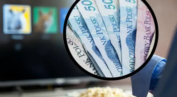 Delta Media Player: Koszty abonamentu. Ile zapłacisz i co zyskasz?