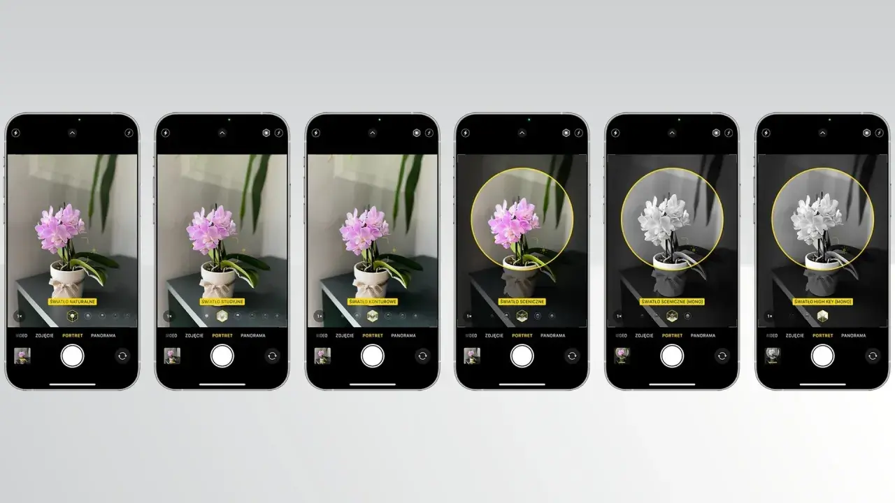 Seria zdjęć iPhone: Jak zobaczyć i wybrać idealny kadr?