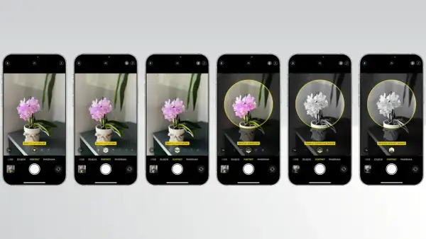 Seria zdjęć iPhone: Jak zobaczyć i wybrać idealny kadr?